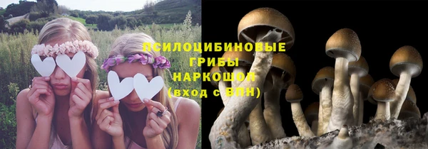 альфа пвп Белокуриха